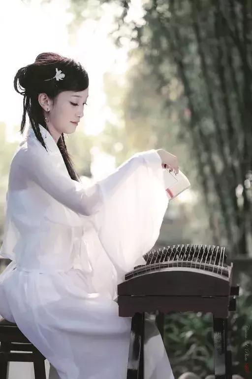 兰花仙子