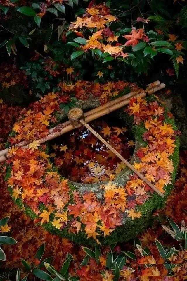 心美了，一切都就美了