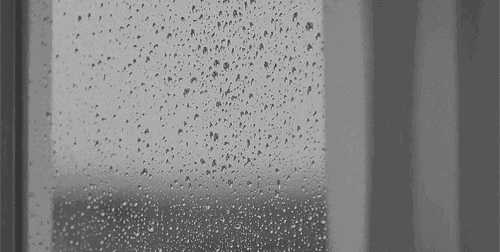 这个秋夜，有雨敲窗