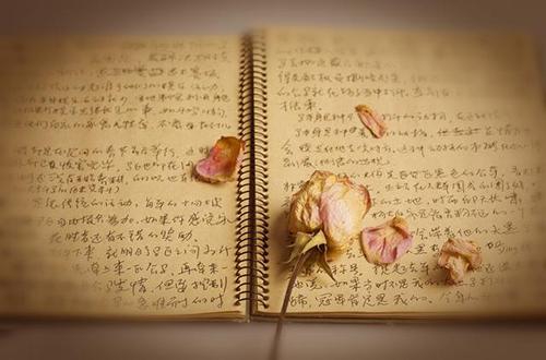 写给远方的你
