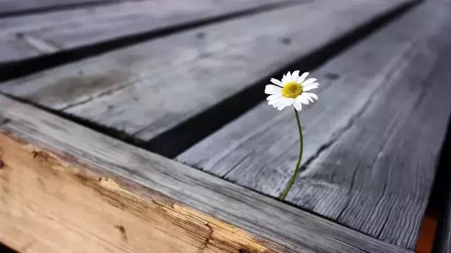 我是全清华最自卑的人