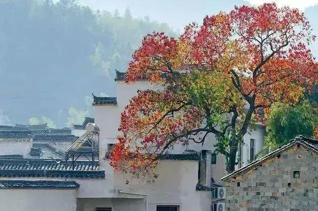 秋在灵魂里居住
