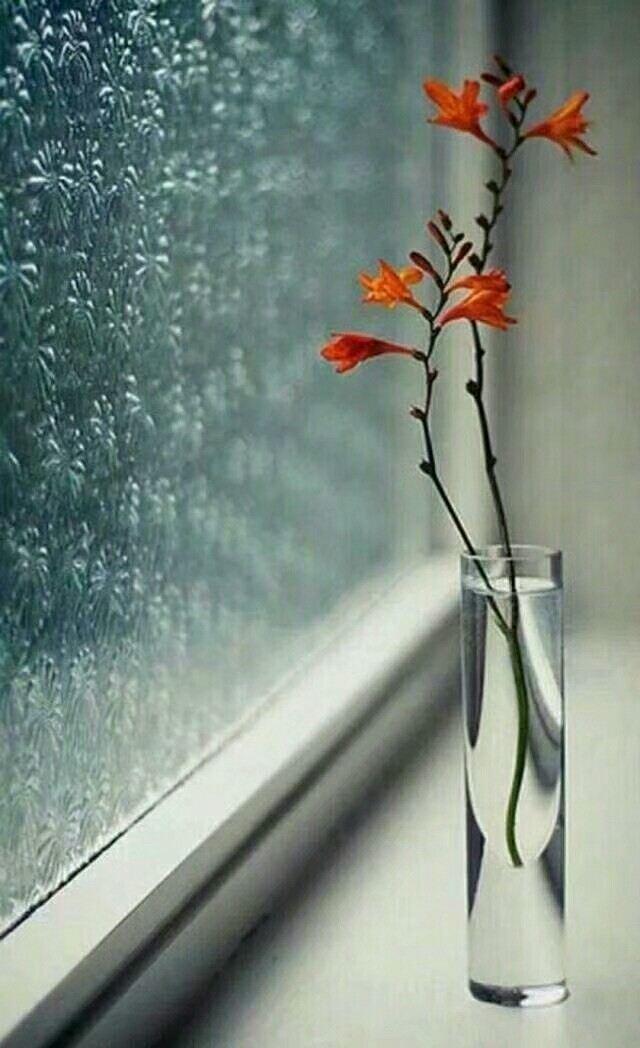 这个季节，有你该多好