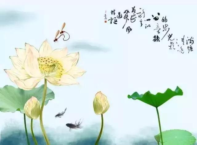 佛说：学会轻轻的放开