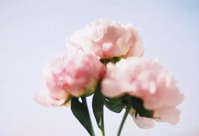 珍惜生命里的爱暖情长