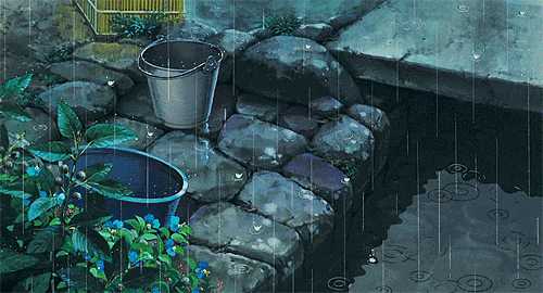 这个秋夜，有雨敲窗