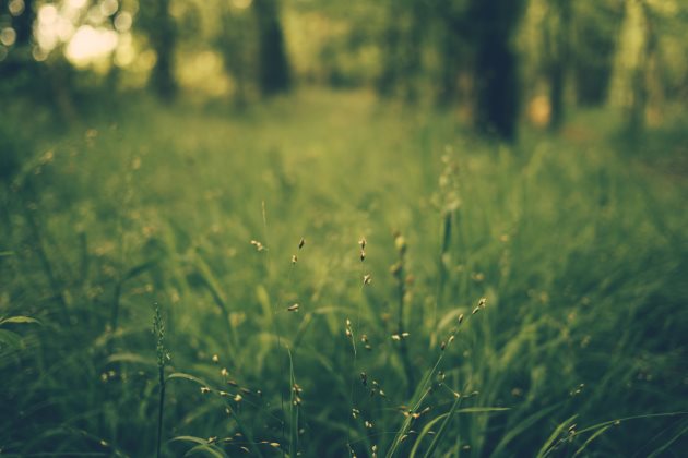 正能量晚安心语简短一句话说说心情短语