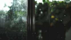 这个秋夜，有雨敲窗