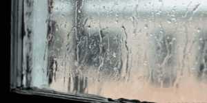 这个秋夜，有雨敲窗
