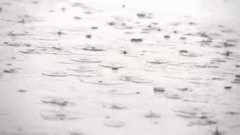 这个秋夜，有雨敲窗