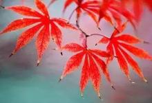 瑞士用时间银行养老，真的太赞了，值得传阅借鉴