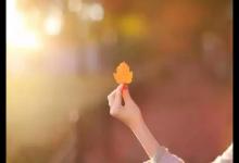 不知不觉中，我们都老了