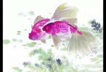 鱼那么信任水, 水却煮了鱼 (深度好文)