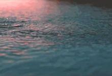 这个秋夜，有雨敲窗