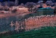 芦花辞：一梦不醒，一醉千年