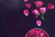 淡淡的岁月，淡淡的心