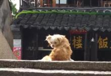 遇见一座城