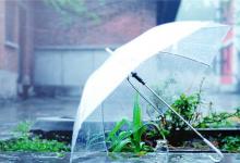 经典散文：烟雨醉花，一梦倾城