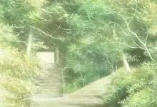 有一种美叫：淡到极致